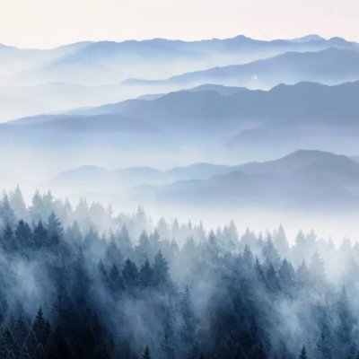 фотообои Горы и лес
