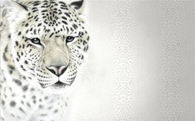 фотообои Снежный леопард