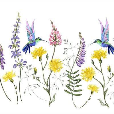 постеры Цветы и колибри