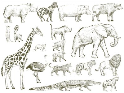 постеры Животные Африки