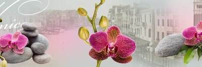 фотообои Венецианские орхидеи
